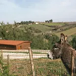 Quinta Dos Castanheiros