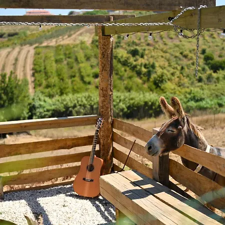 Дом отдыха Quinta Dos Castanheiros *