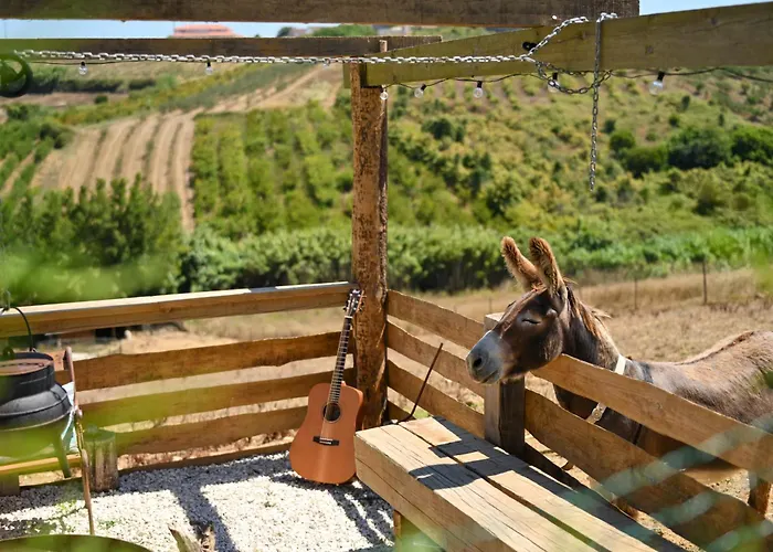 Prázdninový dům Quinta Dos Castanheiros *