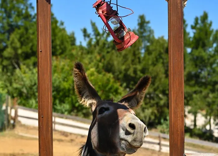 Quinta Dos Castanheiros Prázdninový dům